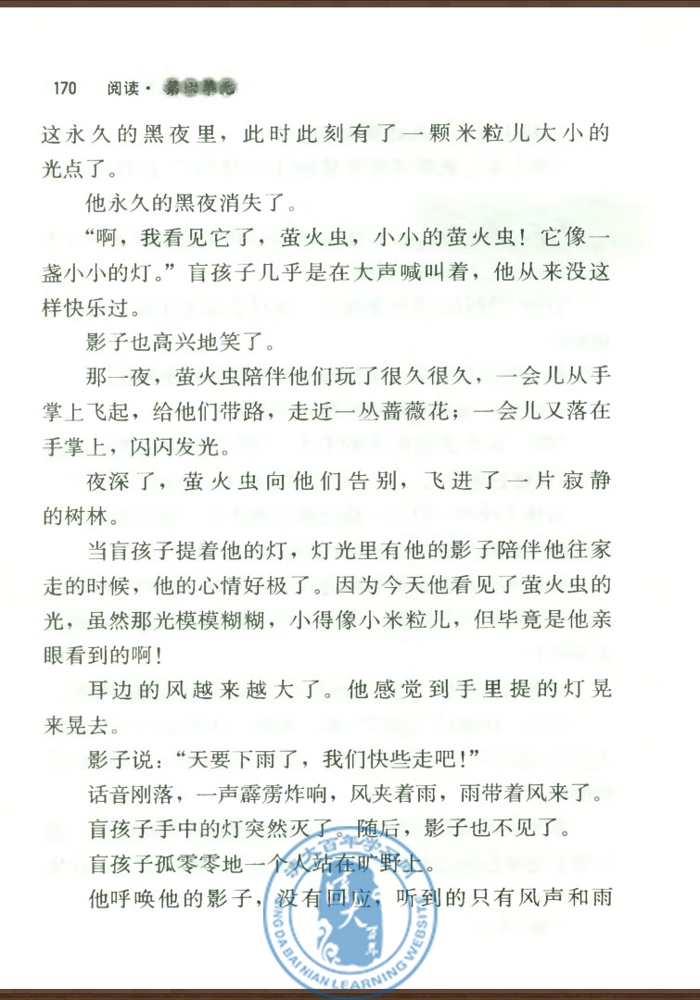 29* 盲孩子和他的影子(第169页)