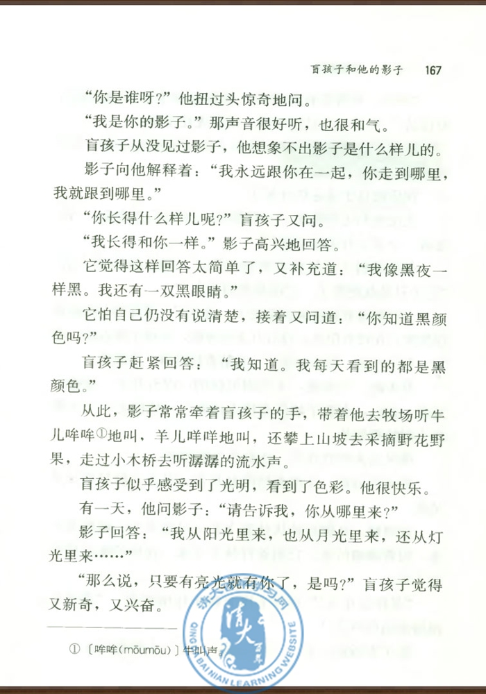 29* 盲孩子和他的影子(第166页)