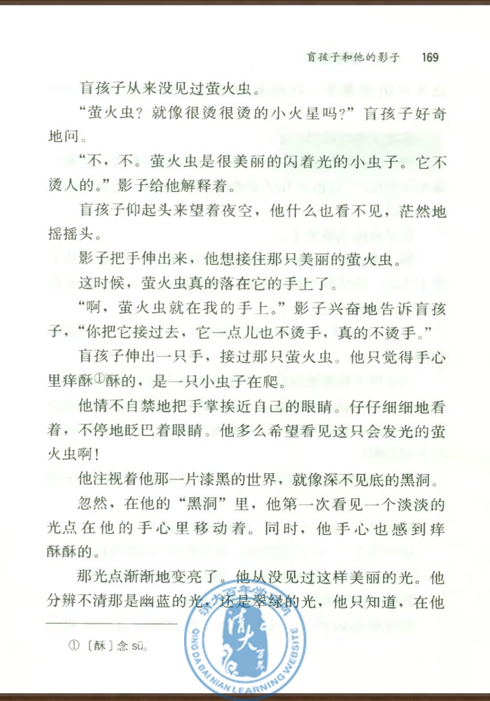 29* 盲孩子和他的影子(第168页)