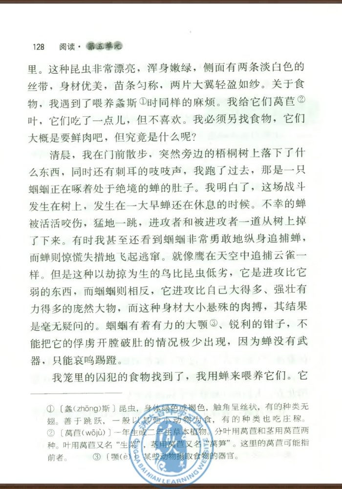 23* 绿色蝈蝈(第127页)