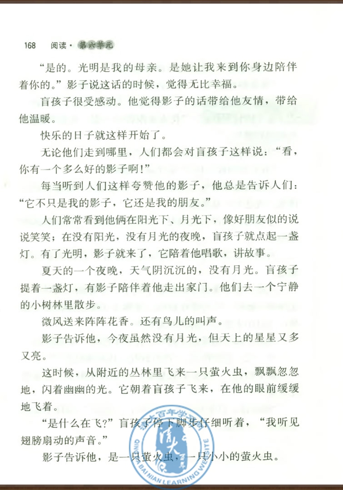 29* 盲孩子和他的影子(第167页)