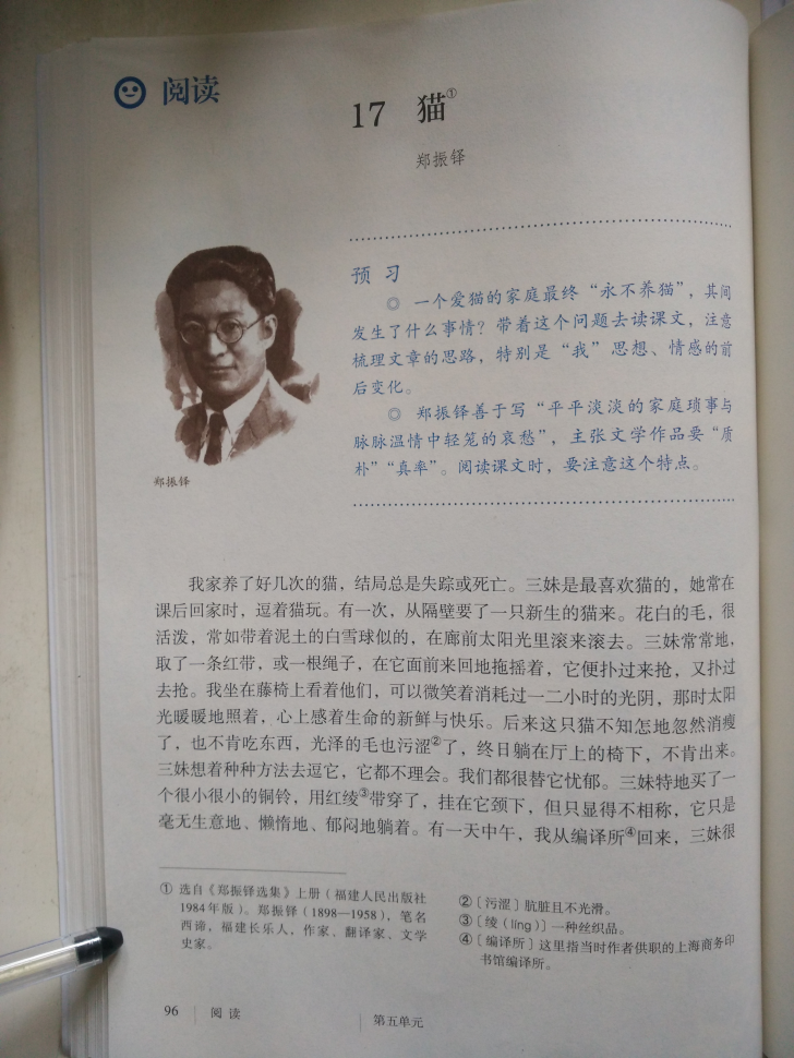 17 猫(第96页)