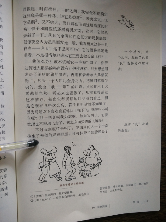 19*动物笑谈(第111页)