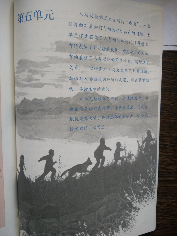 第五单元(第95页)