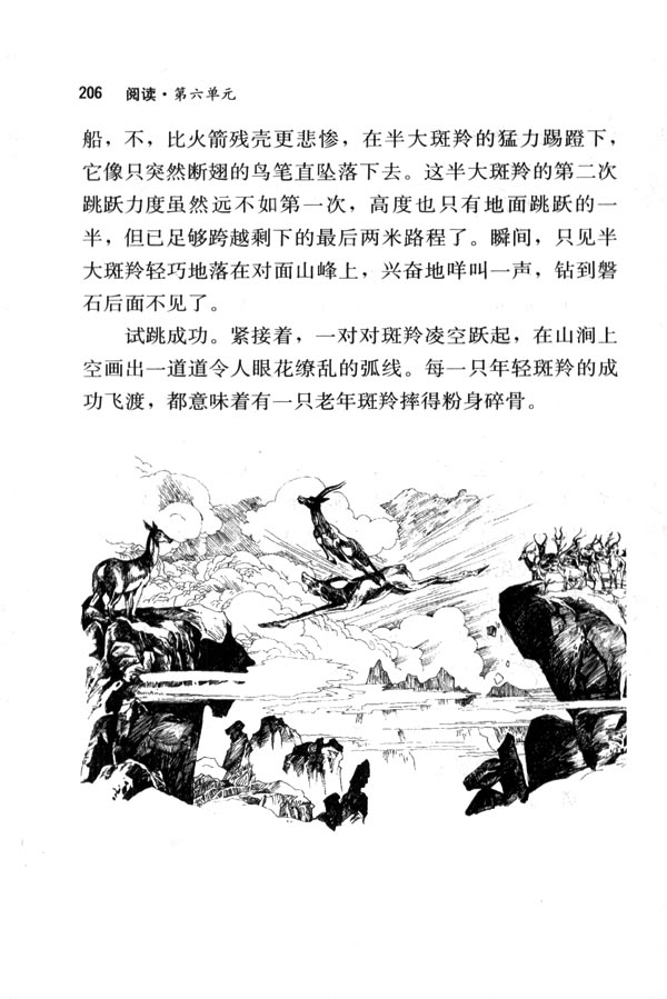27 斑羚飞渡(第206页)