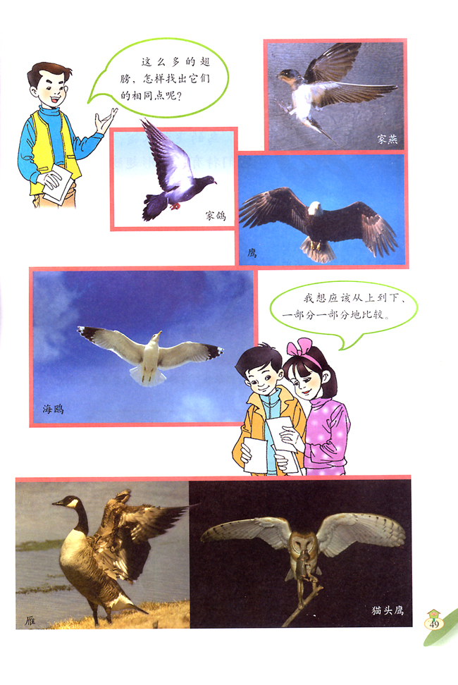 4 跟小鸟学飞翔(第49页)