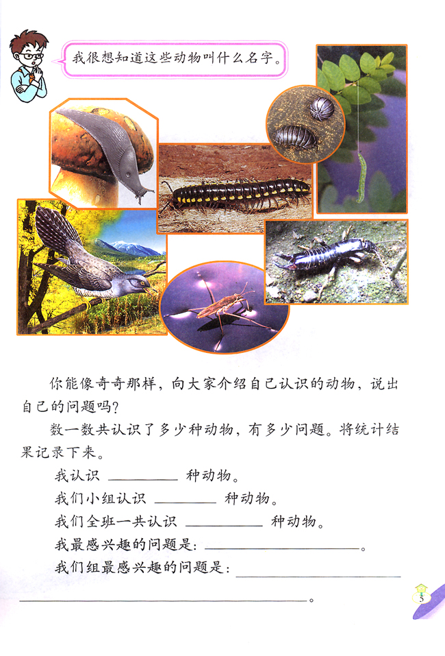1 身边的动物(第5页)