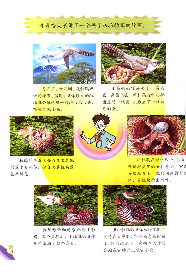 3 动物的家(第14页)