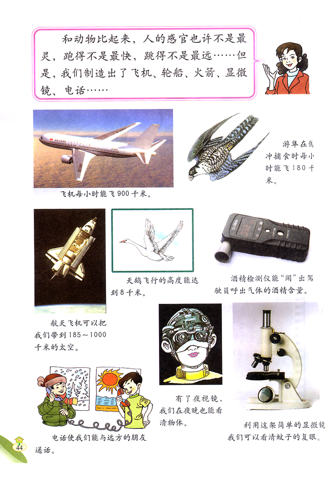 2 和动物比本领(第44页)