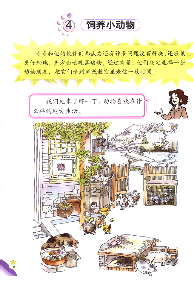 4 饲养小动物(第16页)