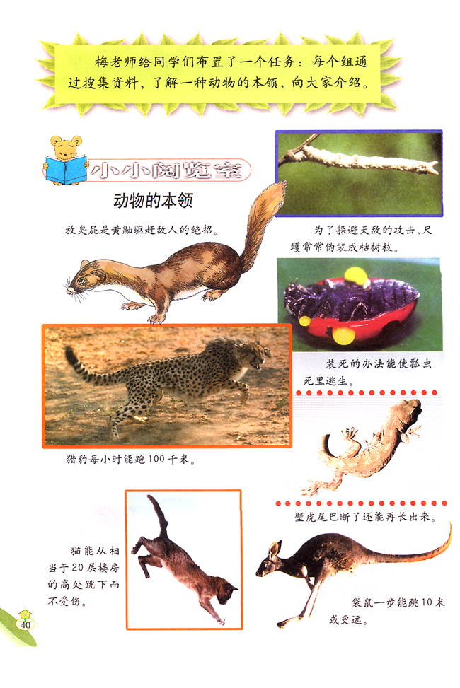1 小动物本领大(第40页)