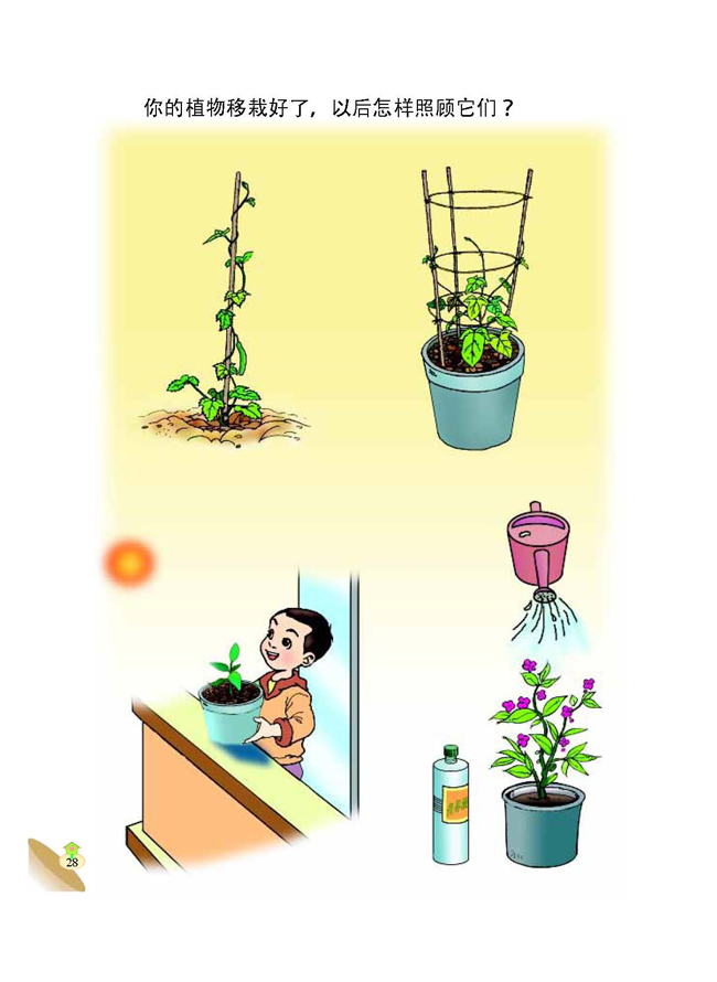 2 栽种植物(第28页)
