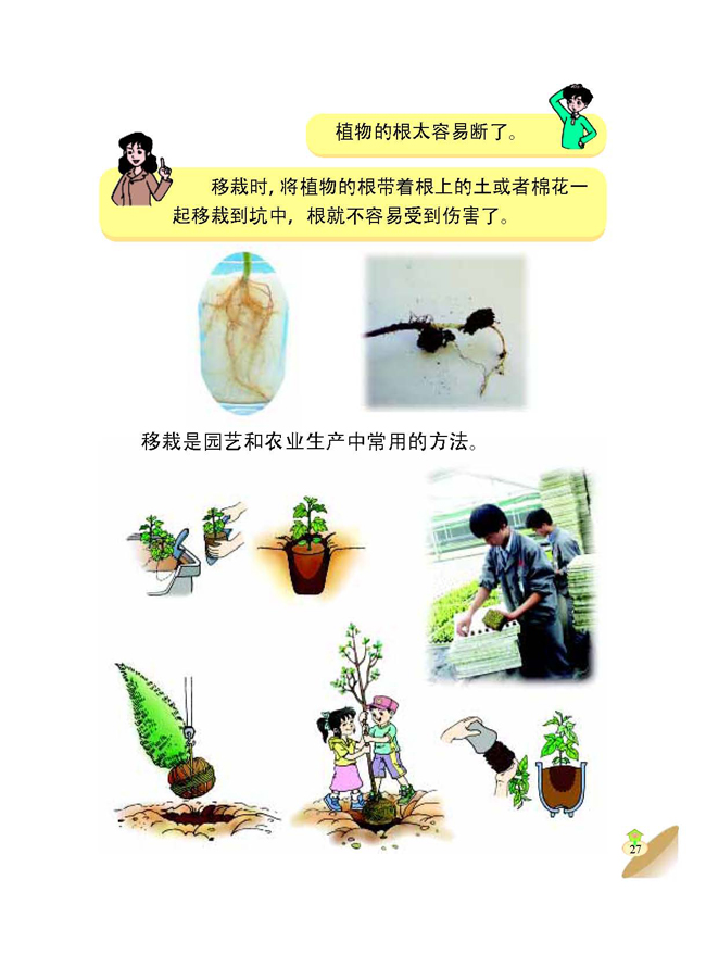 2 栽种植物(第27页)