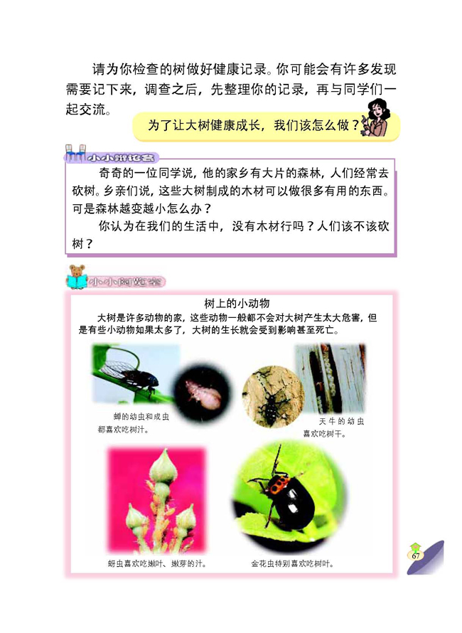 4 我为植物做什么(第67页)