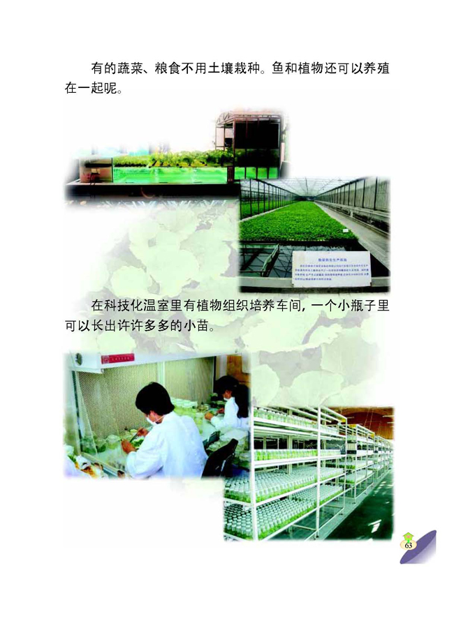 2 种植技术的发展(第63页)