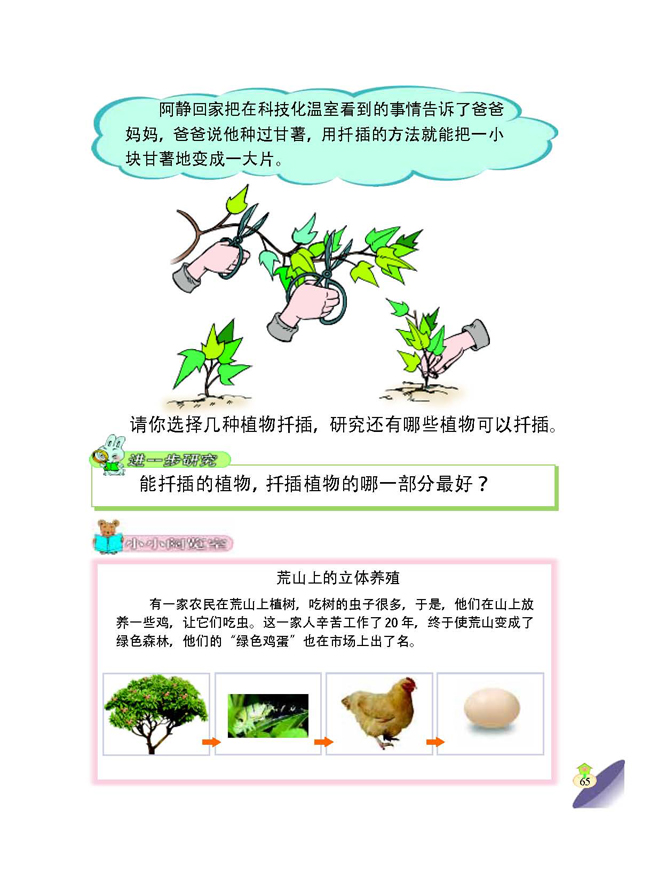 3 学一点种植技术(第65页)