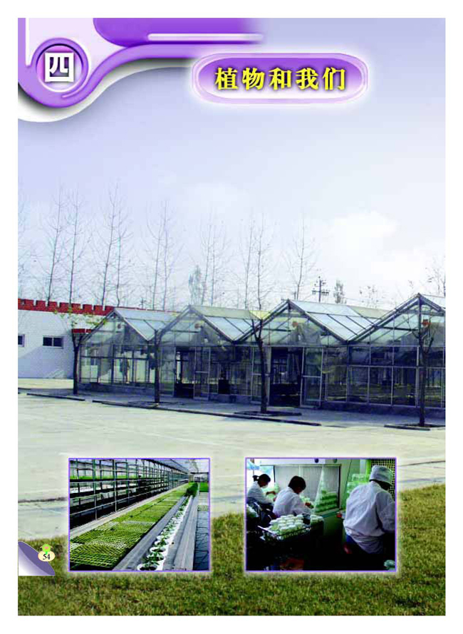 四 植物和我们(第54页)