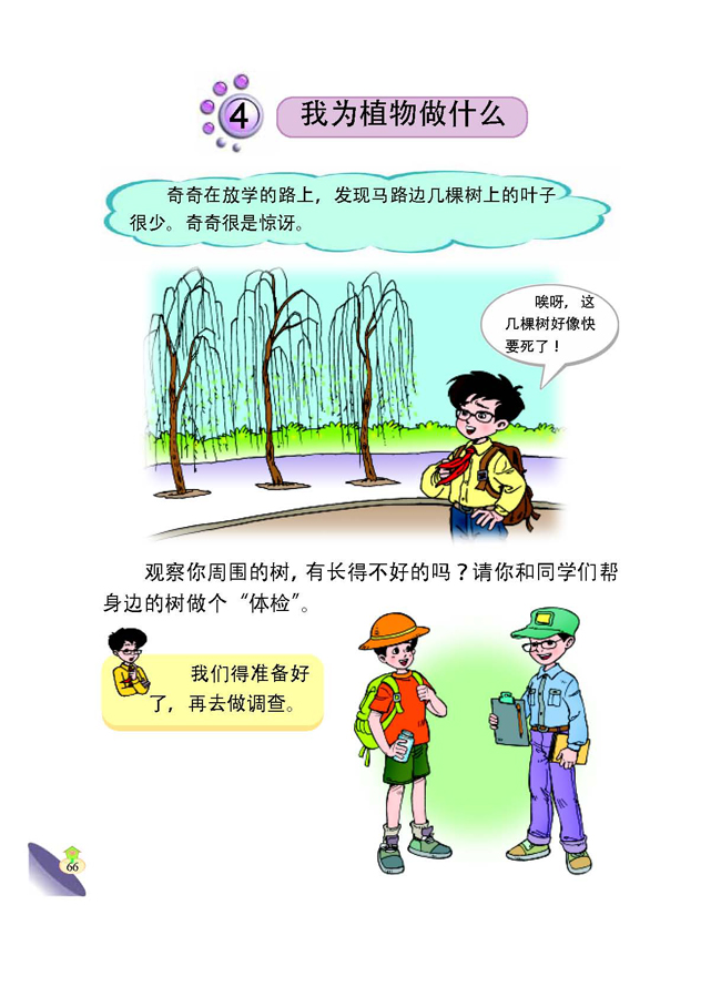 4 我为植物做什么(第66页)