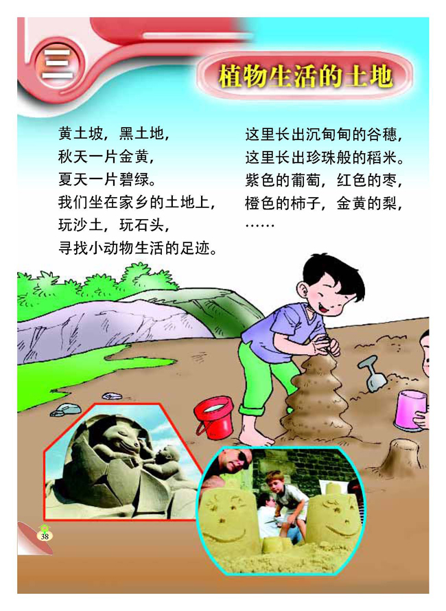 三 植物生活的土地(第38页)