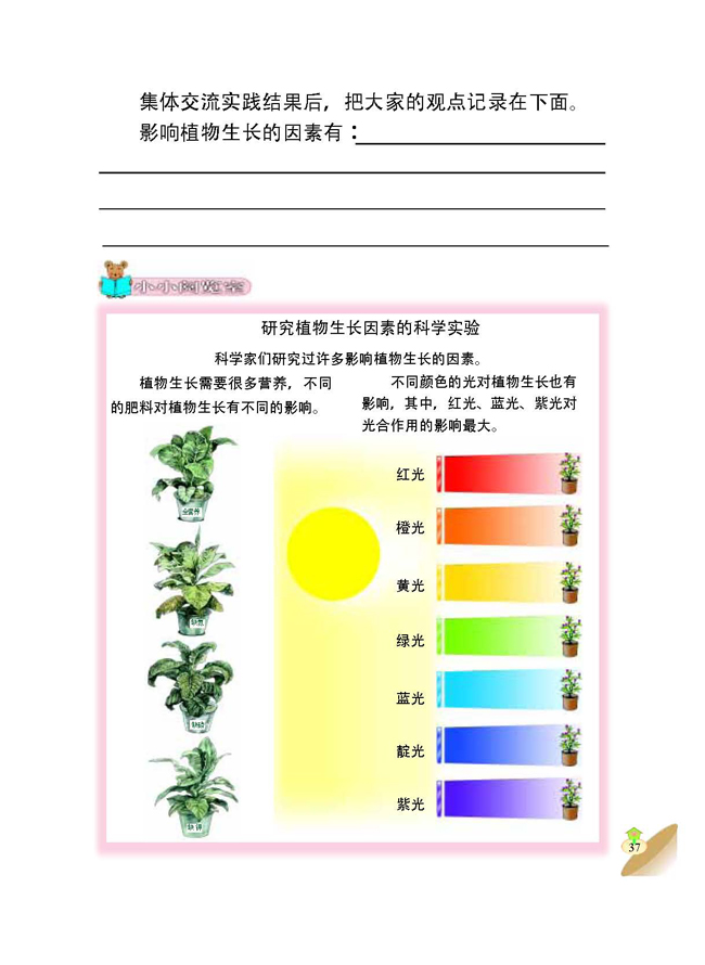 4 是什么在影响植物生长(第37页)