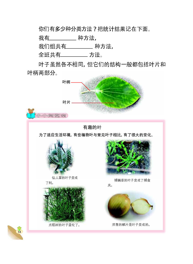 3 植物的身体(第34页)