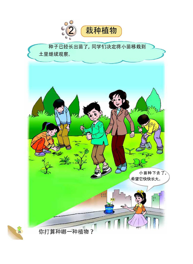 2 栽种植物(第26页)