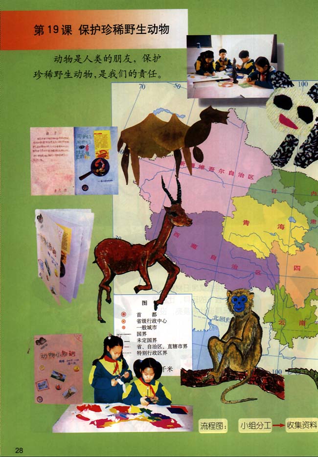 小学三年级美术下册第19课保护珍稀野生动物