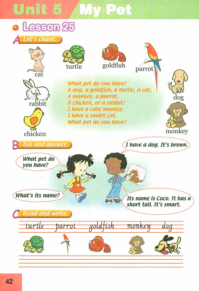 新起点小学三年级英语上册lesson25