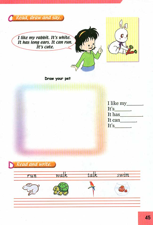 新起点小学三年级英语上册lesson27