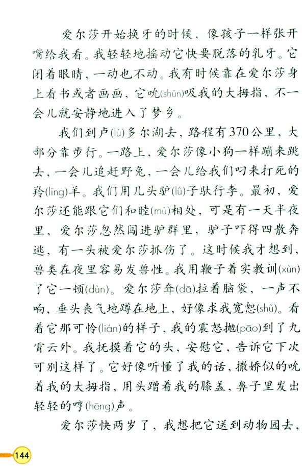 3 小狮子爱尔莎(第145页)