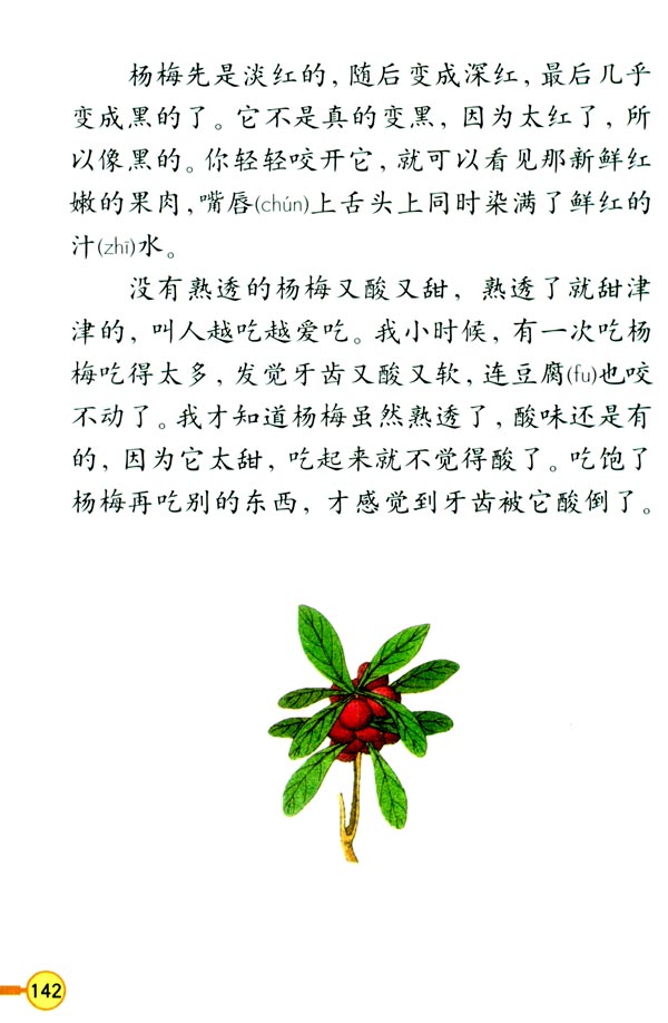 2 我爱故乡的杨梅(第143页)