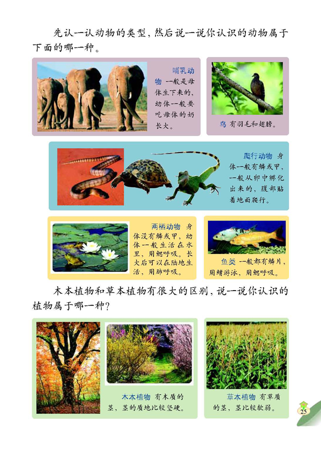 1 考察动物和植物(第25页)