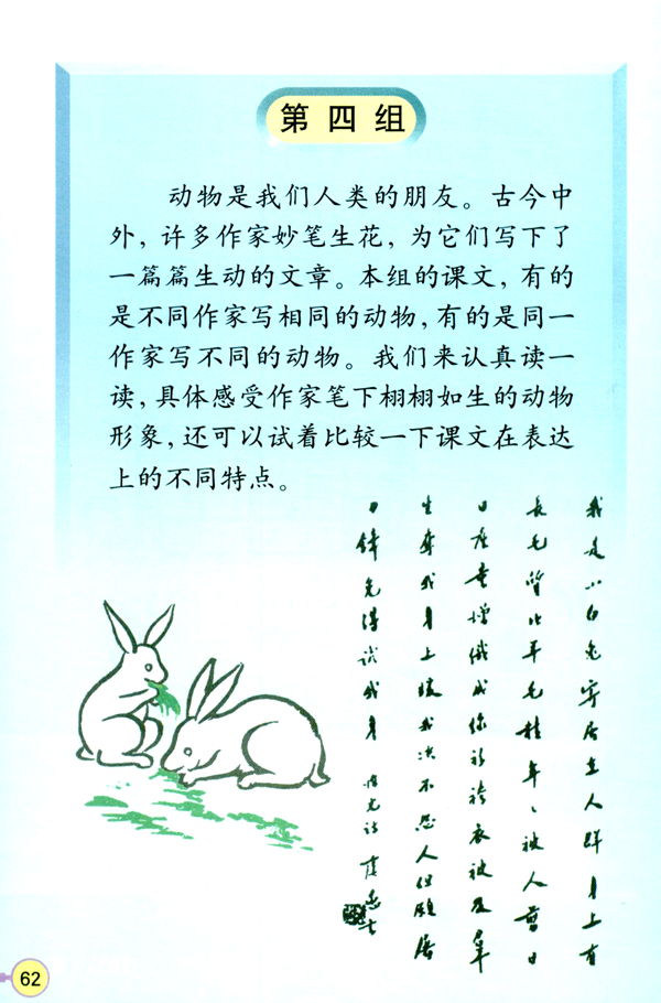 第四组(第62页)