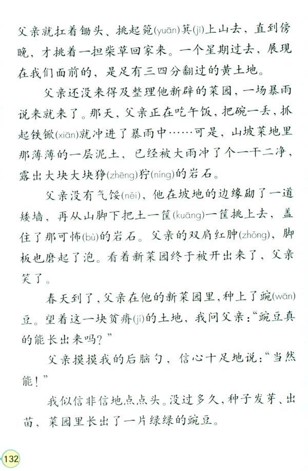 28* 父亲的菜园(第132页)
