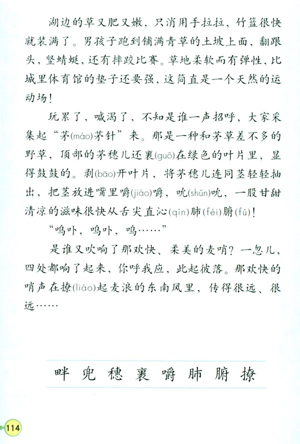 24* 麦哨(第114页)