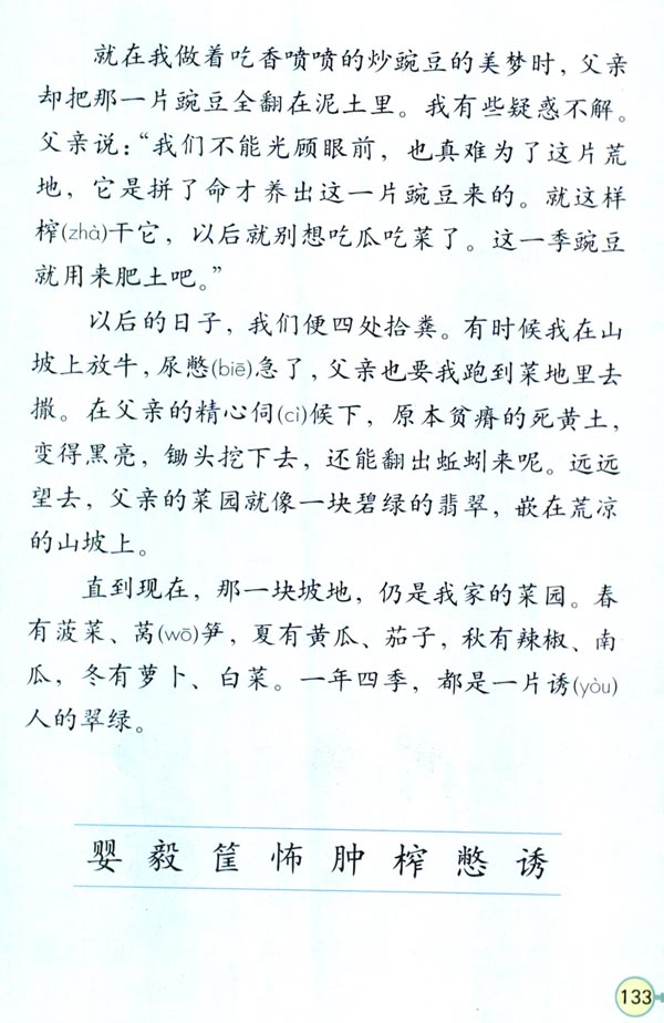 28* 父亲的菜园(第133页)