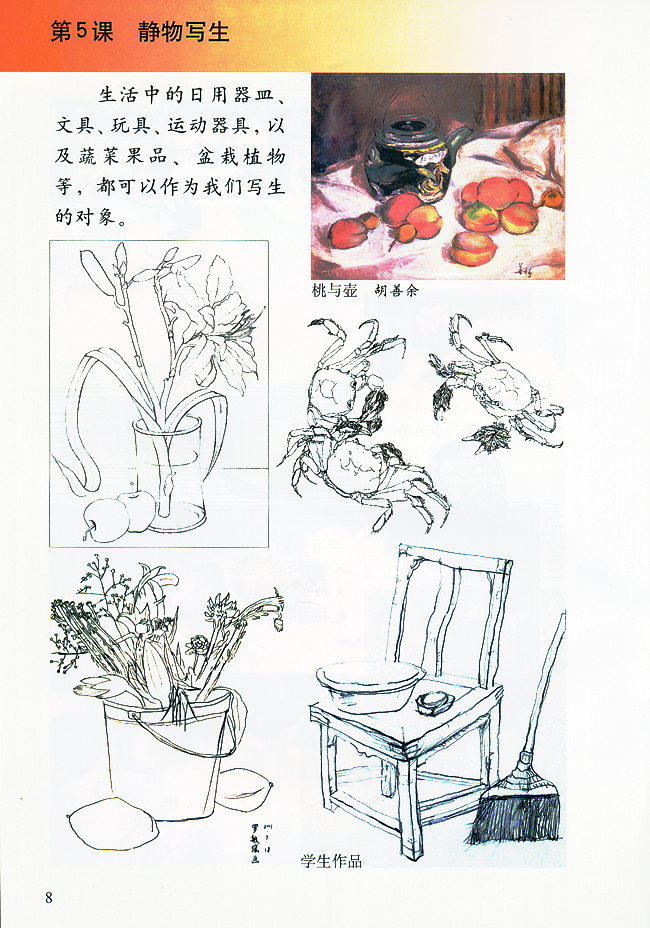 小学五年级美术下册第５课静物写生