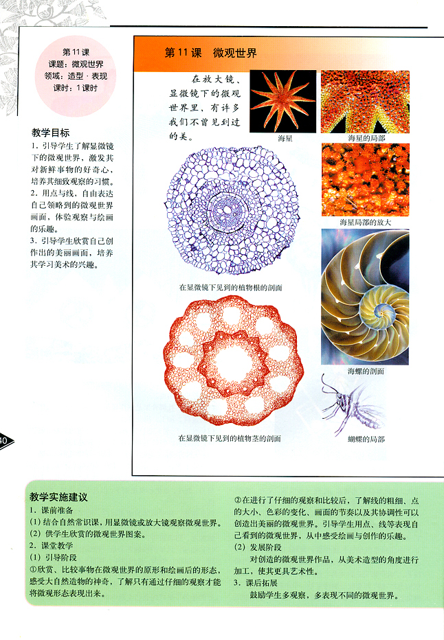 小学五年级美术下册教师教学用书第十一课微观世界（造型・表现）