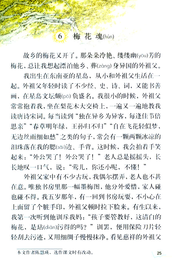6 梅花魂(第25页)
