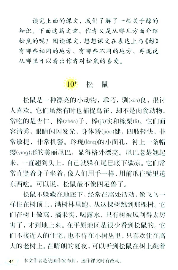 10* 松鼠(第44页)