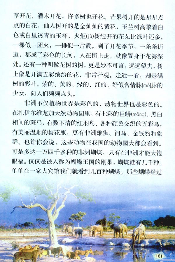 28* 彩色的非洲(第161页)