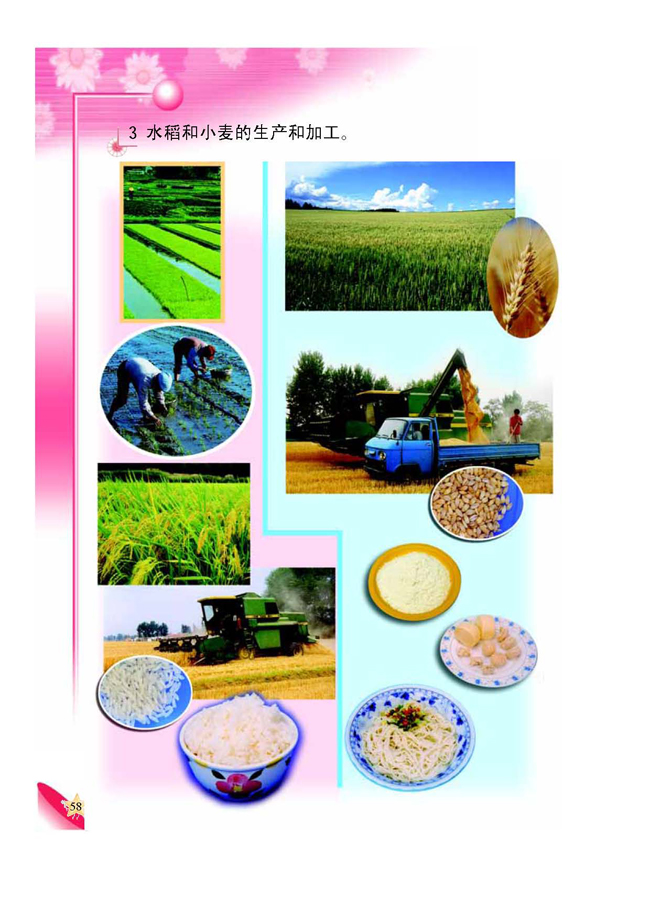 2 我家的厨房(第58页)