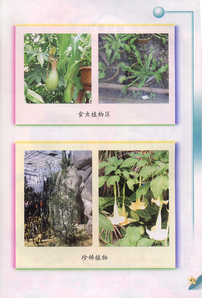 4 参观植物园(第43页)