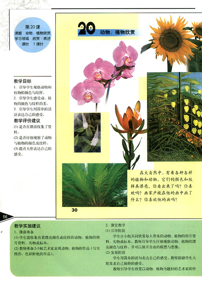 小学一年级美术上册教师教学用书第二十课　动物 植物欣赏（欣赏・表达）