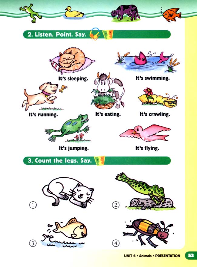 unit 6 Animals(第53页)