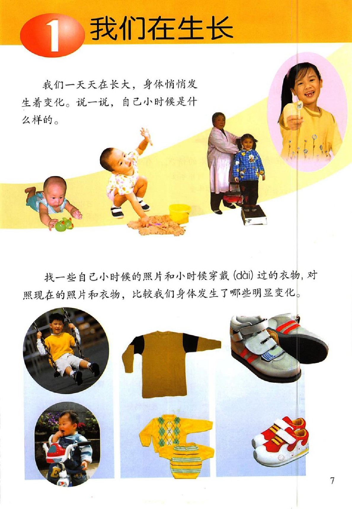 鄂教版三年级科学上册