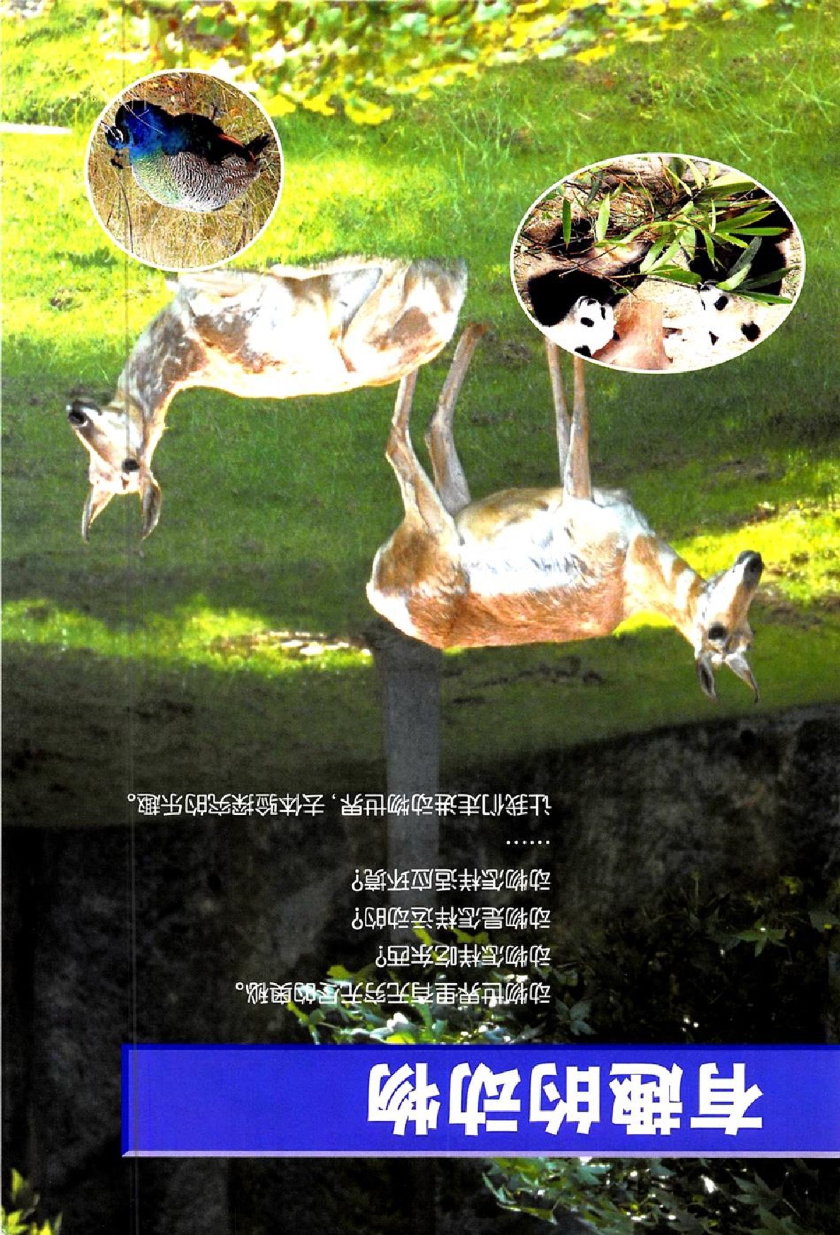 鄂教版五年级科学下册