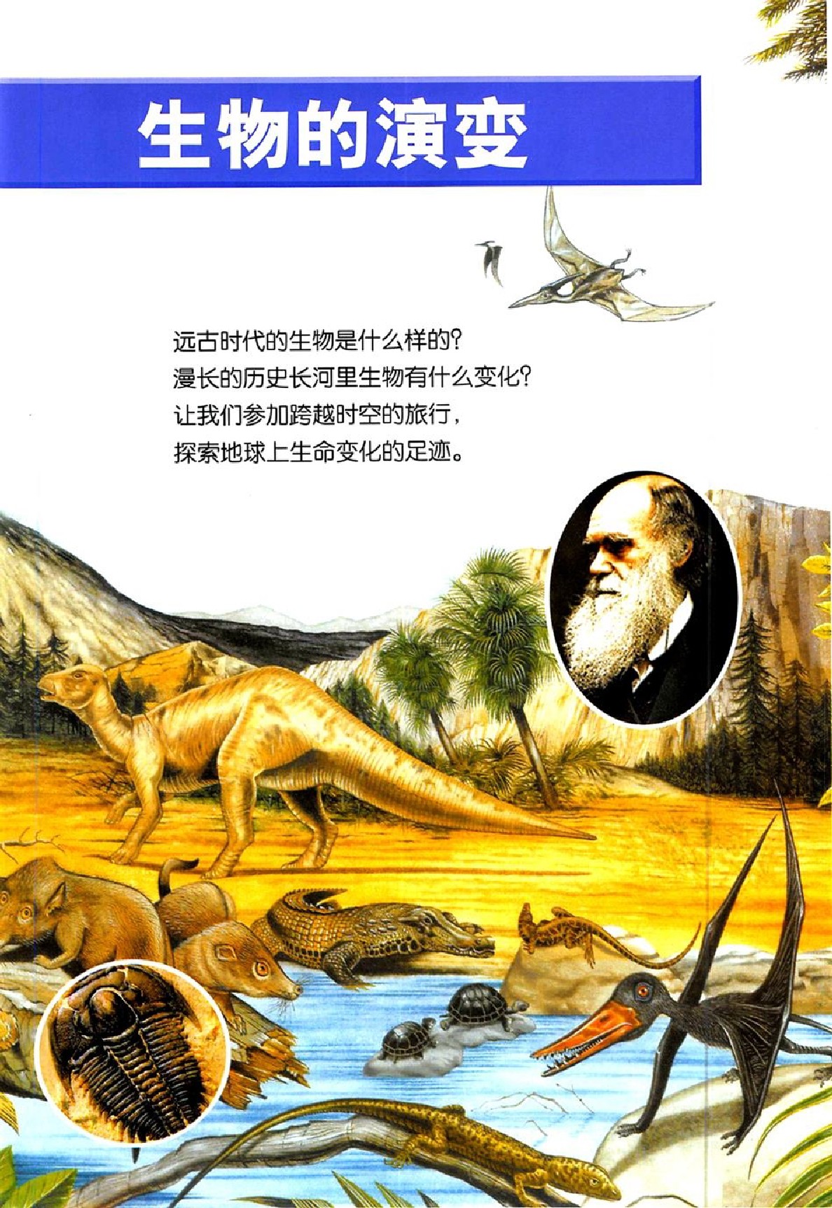 鄂教版六年级科学下册