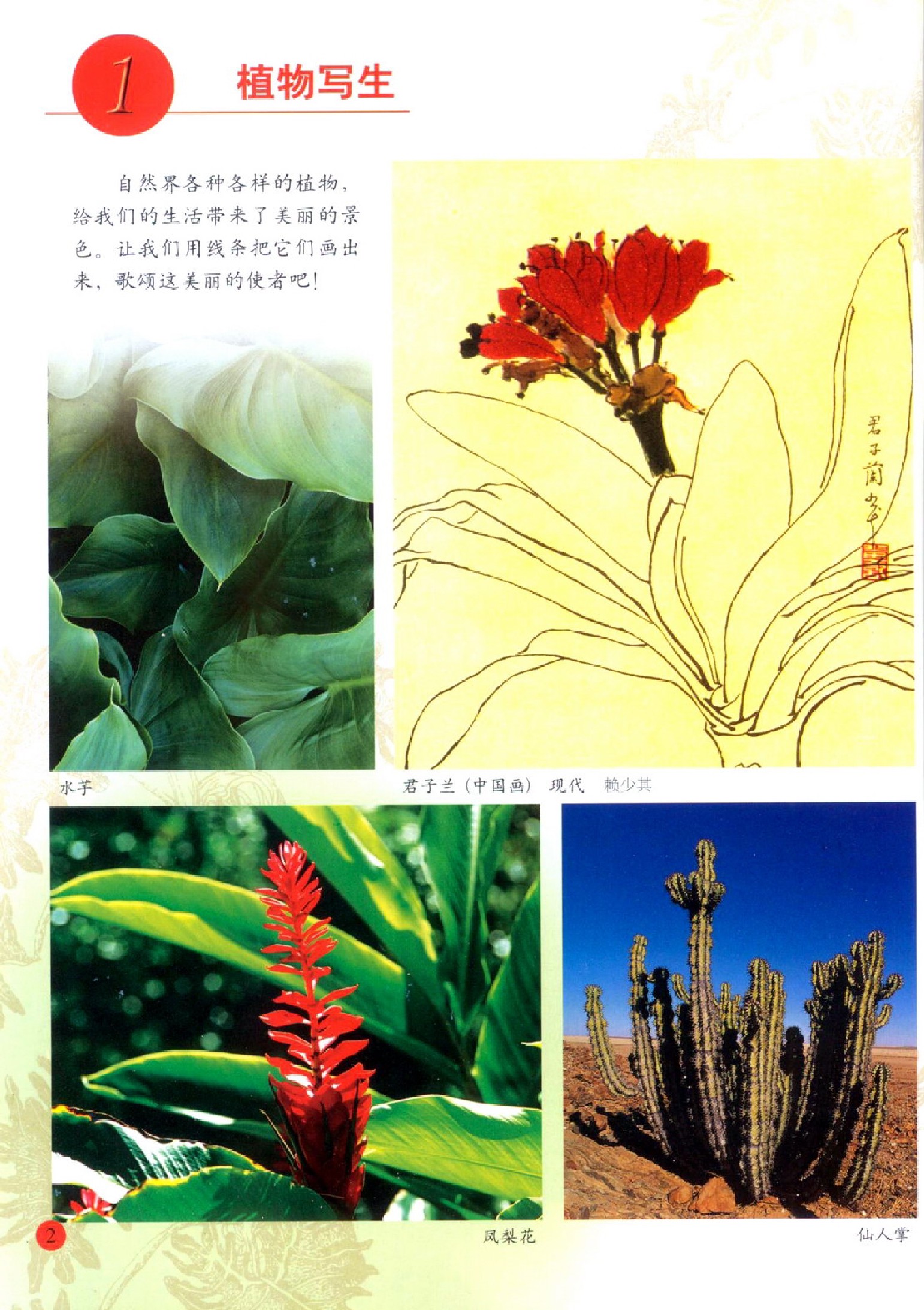 人美版四年级美术下册电子课本-人美版四年级下册美术电子课本-人美版小学美术