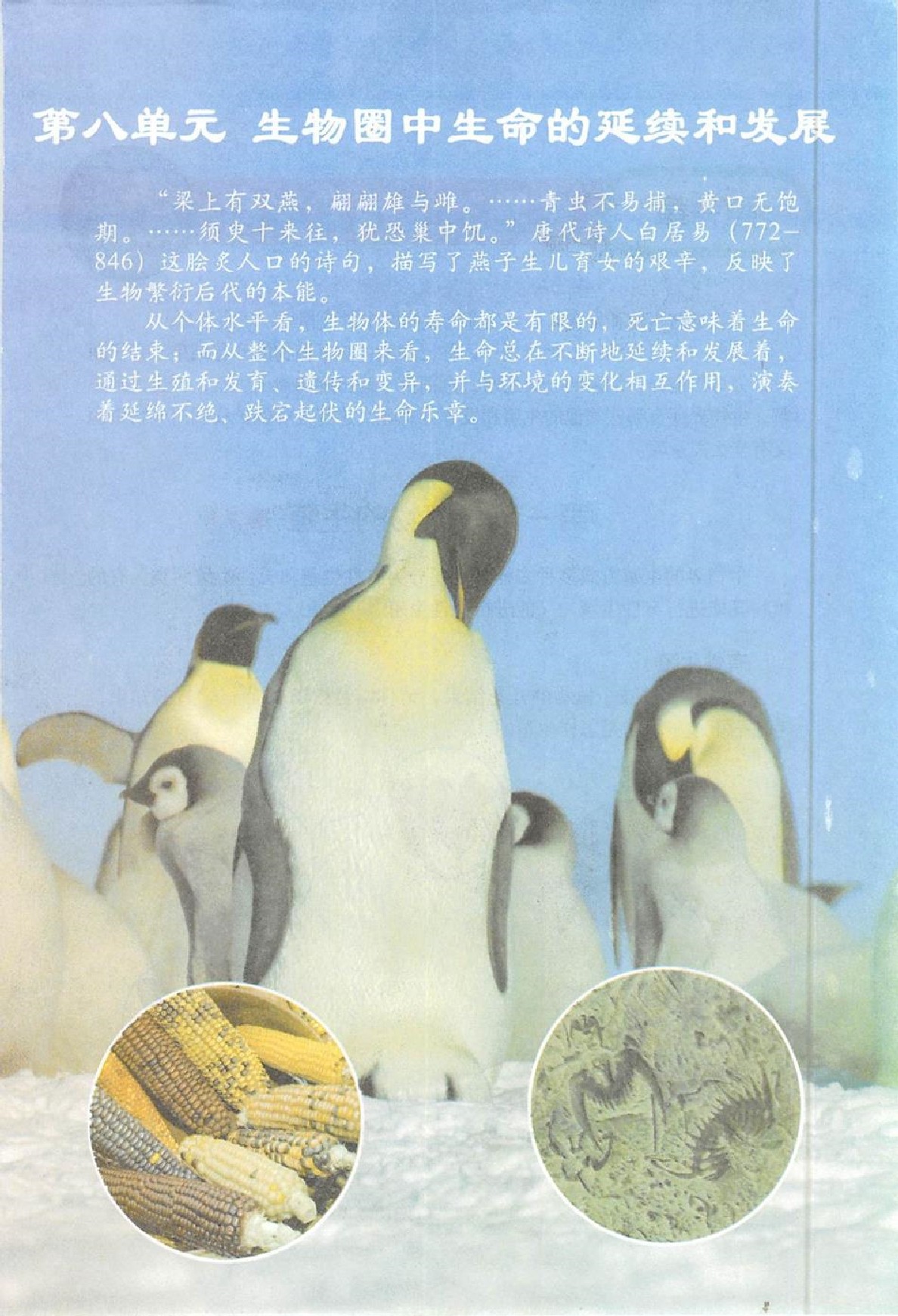 鲁科版八年级生物下册